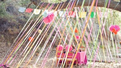 Photo of Как организовать праздник на природе