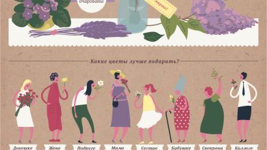 Photo of Понимание особенностей фото для выбора букета