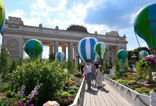 Photo of «Популярные локации для Palitra-Event»