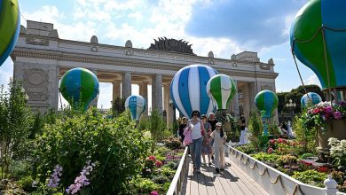 Photo of «Популярные локации для Palitra-Event»